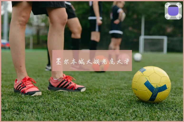 墨尔本城大战老虎大学
