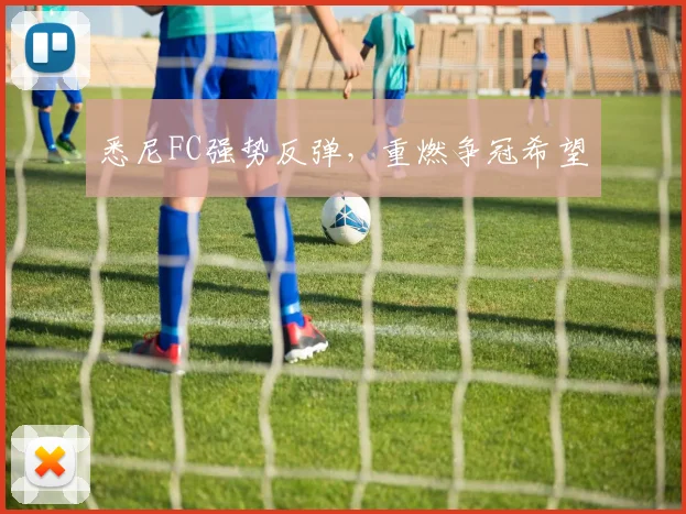 悉尼FC强势反弹，重燃争冠希望
